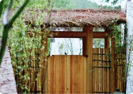 Mentor guidance session