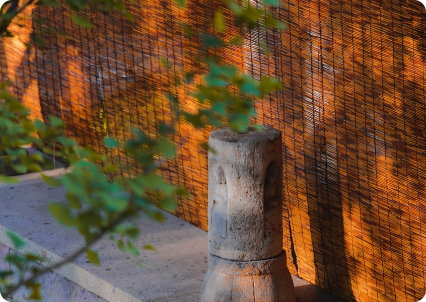 Chan Tea Ceremony — Melbourne