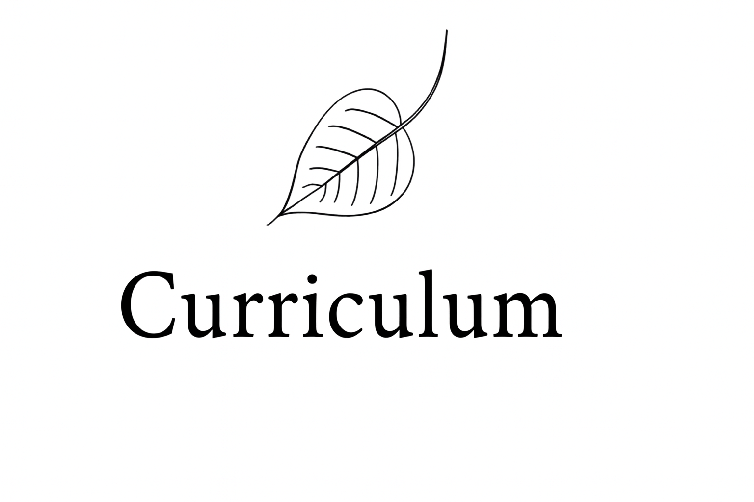Curriculum